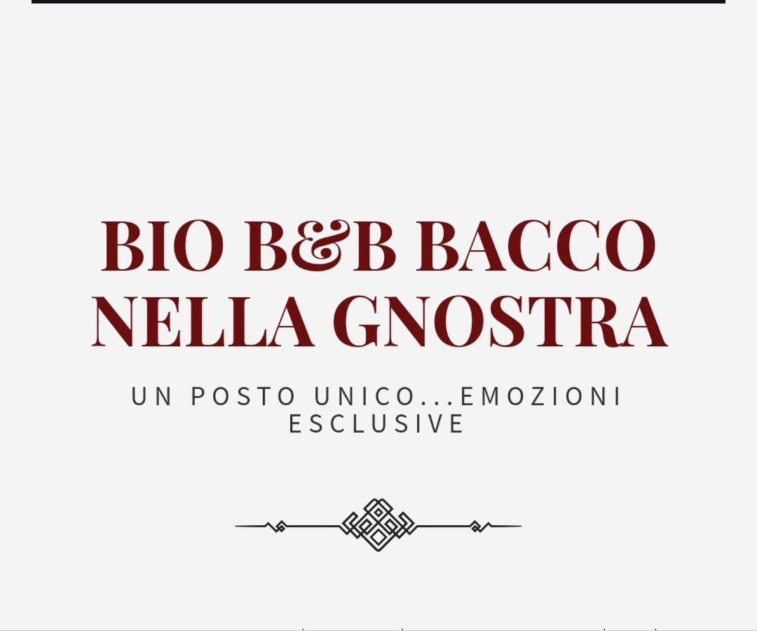 Bio B&B Bacco Nella Gnostra Altamura Exterior photo